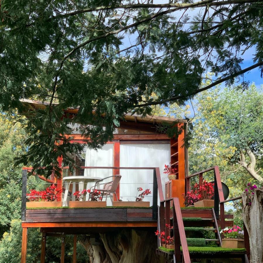 Casa En El Arbol Villa Suesca Exteriör bild