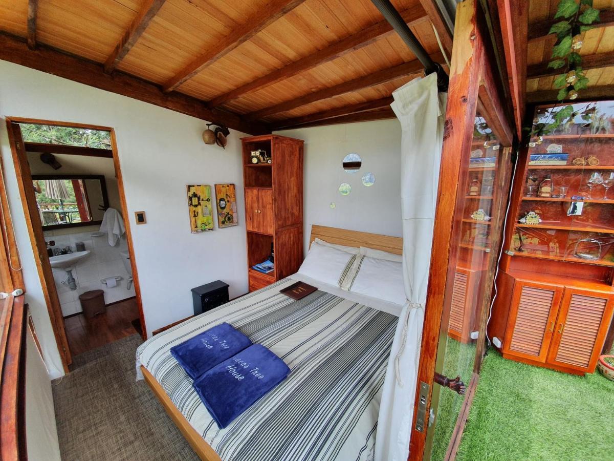 Casa En El Arbol Villa Suesca Exteriör bild